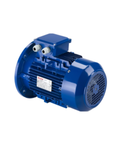 3B1001E10A Motor Elvem Vietnam