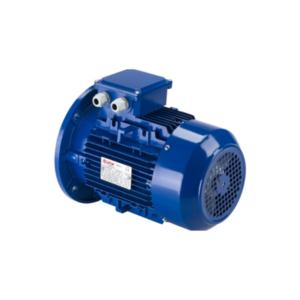 3B1001E10A Motor Elvem Vietnam