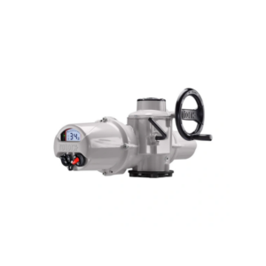 IQ12 F10 B4 Actuator Rotork Vietnam
