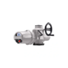 IQ12 F10 B4 Actuator Rotork Vietnam