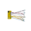 BWR5215 Module bo mạch I/O an toàn ASi-5 Bihl+Wiedemann Bihl-Wiedemann