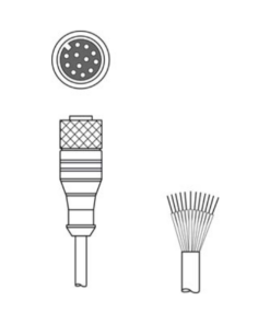 KD S-M12-CA-P1-050 Cáp kết nối M12 12 chân dài 5 m Leuze